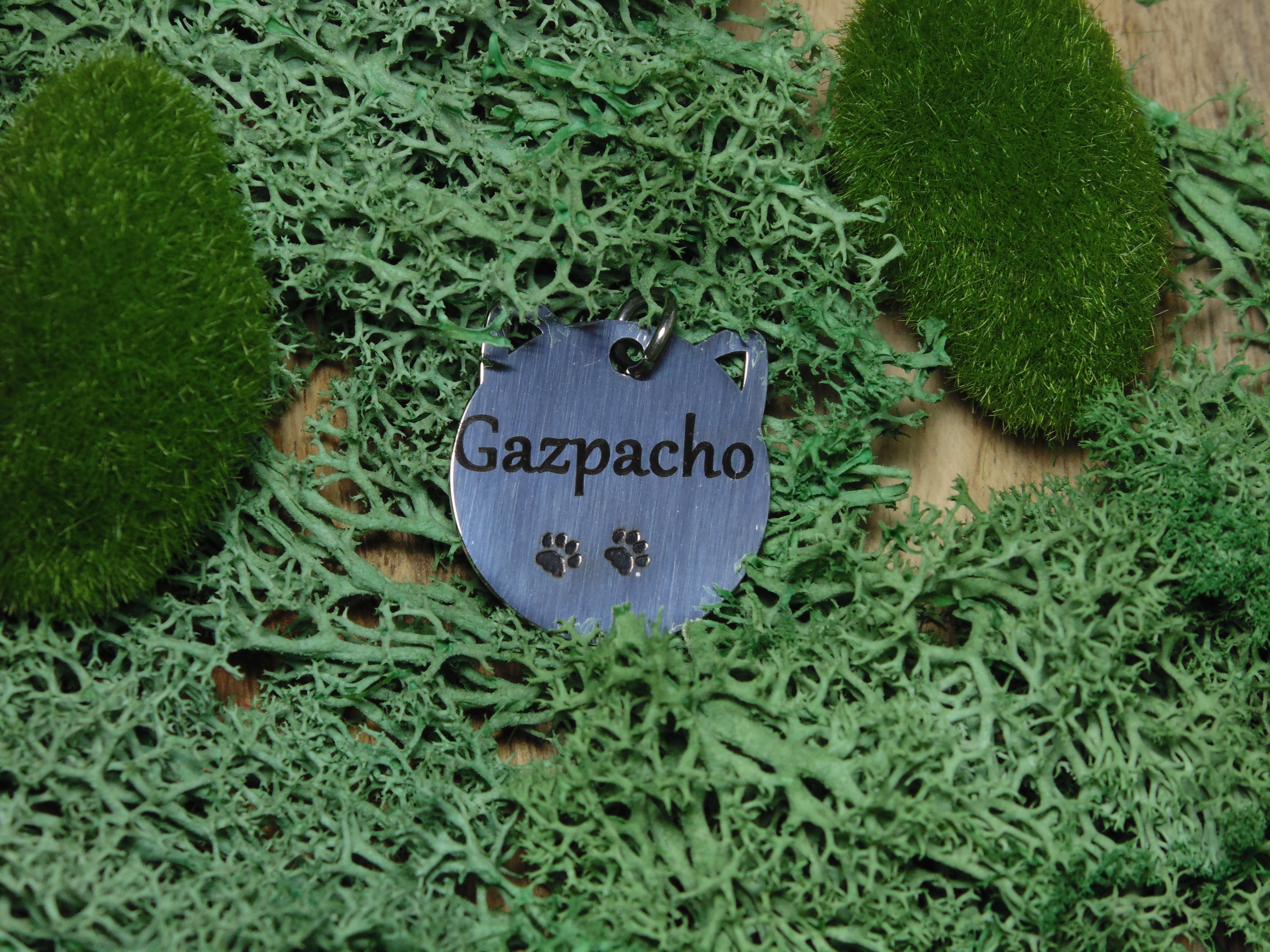 Estuche Premium